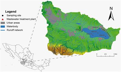 Characterizing a subtropical hypereutrophic lake: From physicochemical variables to shotgun metagenomic data